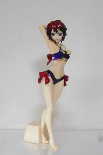 건담 SEEDDestiny 루나 마리아 피규어 리페인트