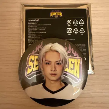 SEVENTEEN 캔뱃지 준 HOME