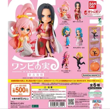 원피 제5해전 컴플리트 세트