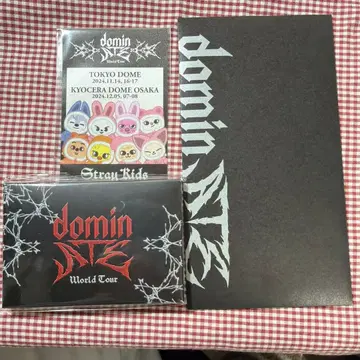 straykids 스키즈 dominATE 업그레이드 혜택