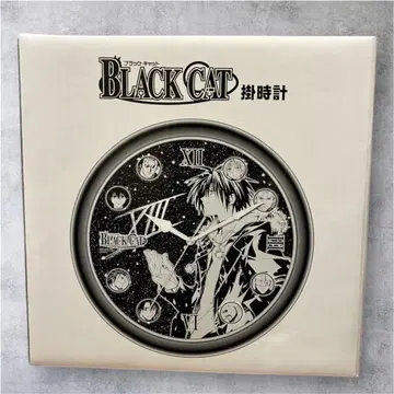 [ 미사용 ] BLACKCAT 블랙캣 벽걸이 시계 시계