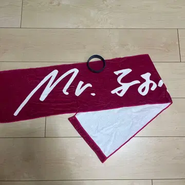 Mr. 폴테 타월 러버 밴드