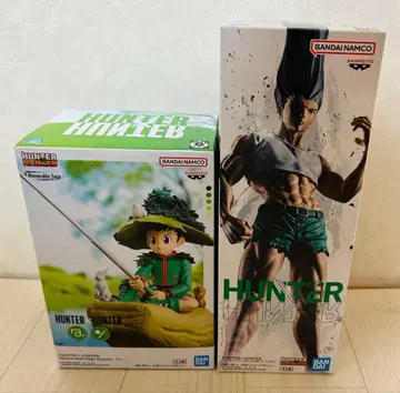 HUNTER x HUNTER 곤 피규어