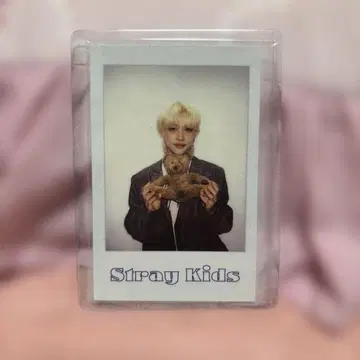 필릭스 폴라로이드 시즌 그리팅