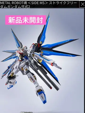 METAL ROBOT혼 스트라이크 프리덤 건담 이식