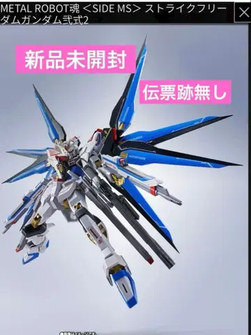 METAL ROBOT혼 스트라이크 프리덤 건담 이식