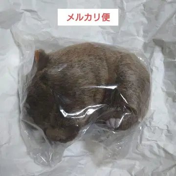 웜뱃 봉제 인형 완오원