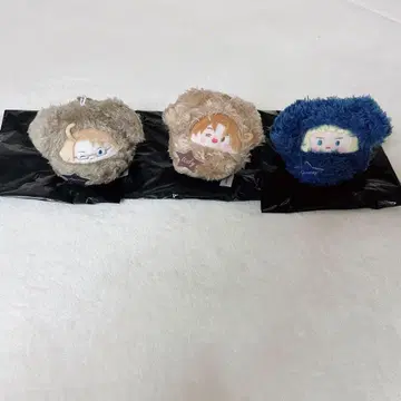 헤타리아 싸개 타피누이 미국 이탈리아 독일