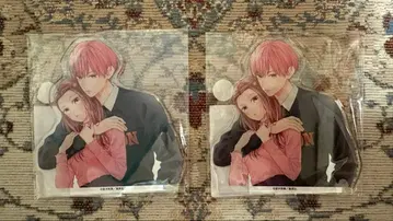 핑크와 하바네로 복권 메이트 아크릴 스탠드