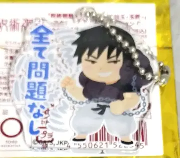 주술회전 아크릴 참 컬렉션 C 이라스토야 회옥 옥절 후시구로