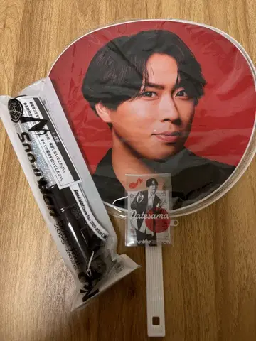 SnowMan 2025 펜라이트 타테사마 세트