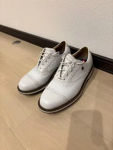 풋조이 드라이조이 프리미어 타로우 골프화