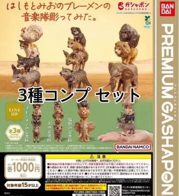 하시모토 미오 브레멘 음악대