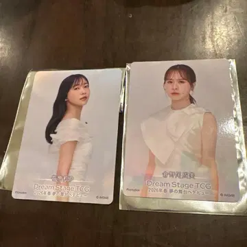 AKB48 일본 무도관 입장자 혜택