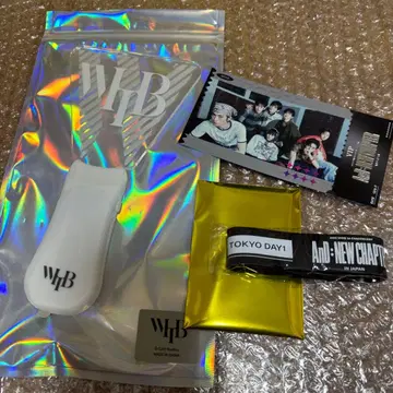 WHIB 팬 콘서트 응원봉 VIP 혜택