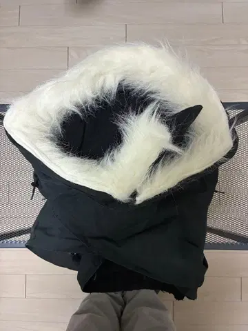 WAIPER.inc 미군 M-65 피쉬테일 후드티 후드만