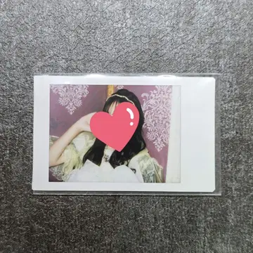 FRUITS ZIPPER 사쿠라이 유이 노르간지 의상 란폴라로이드