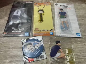 하이큐!! 아카아시 케이지 세트