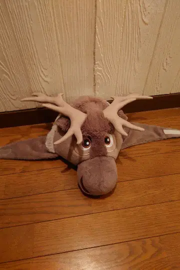 스벤 팬캡 안나