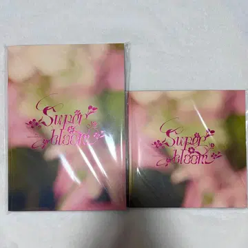 앙스타 스타포니 팜플렛 입장 혜택 세트 Super bloom