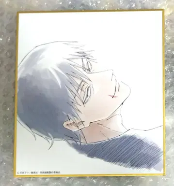 주술회전전 블라인드 미니 색지 후시구로