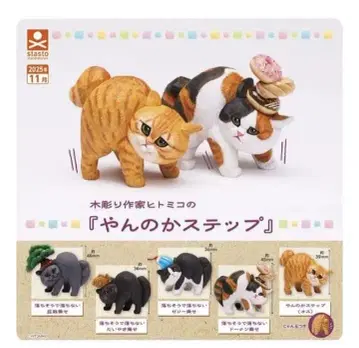 [얀 너 스텝] 전 5종 컴플리트 상품