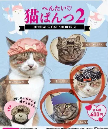 고양이 팬츠 2 2장 세트