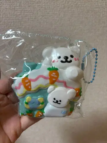 해외 스퀴즈 퍼피의 집