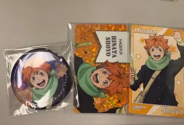 하이큐!! 코스모 월드 홀로그램 카드 히나타 쇼요 캔뱃지 카드