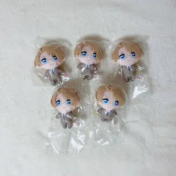 헤타리아 미국 카푸코후렌즈 5개