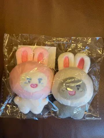 SHINee 진냥 진목이 마그넷 푸시 페어