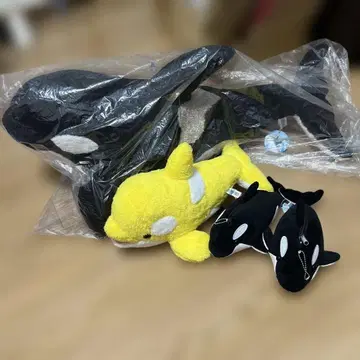 카모가와 월드 범고래 묶음 판매