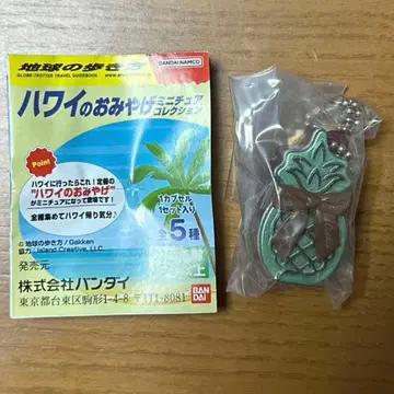 하와이 기념품 미니어처 컬렉션