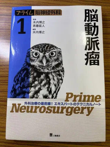 프라임 뇌신경외과 1 뇌동맥류