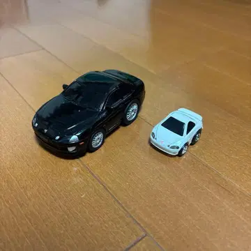 소아라 미니카 2대