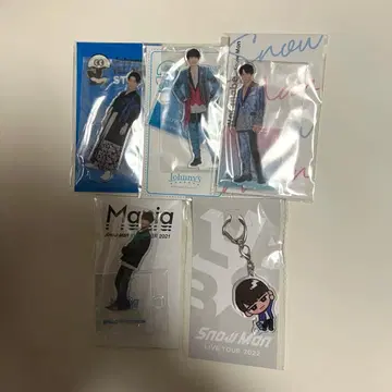 와타나베 쇼타 아크릴 스탠드 스노우 칠 키링 5점 세트