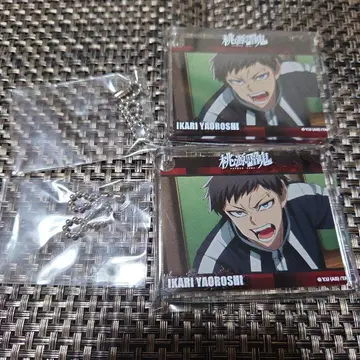 토겐안키 애니메이트 카페 야오로시 이카리 코롯타