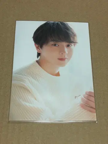 후지모토 코다이 브로마이드