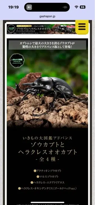 생물대도감 코끼리장수풍뎅이와 헤라클레스 장수풍뎅이