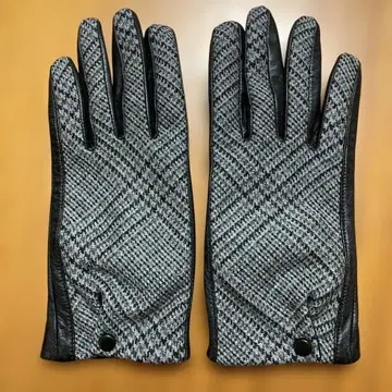 아쿠아 스큐텀 장갑