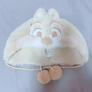 디즈니 팬캡 칩과 데일