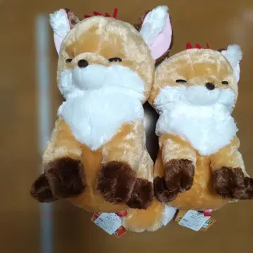 쵸콘과 여우 봉제 인형