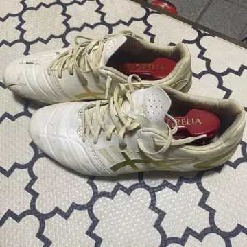 미즈노 모렐리아 축구화 FG