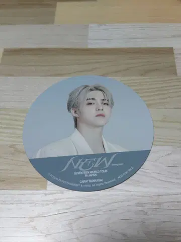 SEVENTEEN 발레 NEW_ 주방 카 코스터 [ 에스쿱스 ]