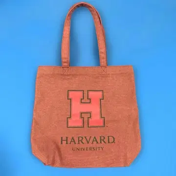 SALON de RUBAN 토트백