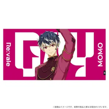 아이나나 백 G4Y 빅 타월