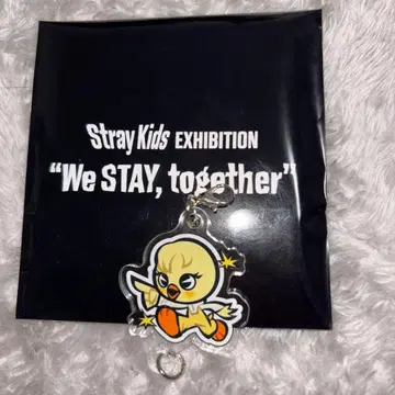 Stray Kids 아크릴 키링 We STAY, together