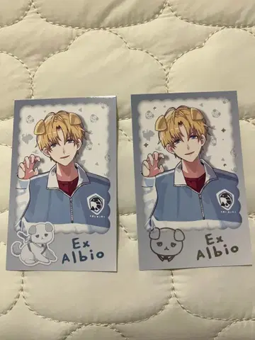 엑스알비오 와니얀 days 랜덤 폴라로이드풍 카드