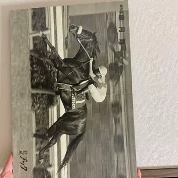 나리타 타이쿤 패널 (경마북 현상 경품)