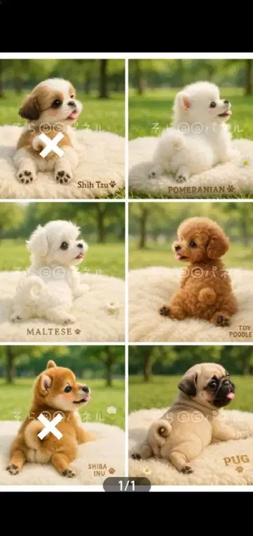 접수 공원에서 휴식하는 개